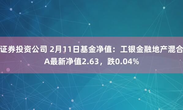 证券投资公司 2月11日基金净值：工银金融地产混合A最新净值2.63，跌0.04%