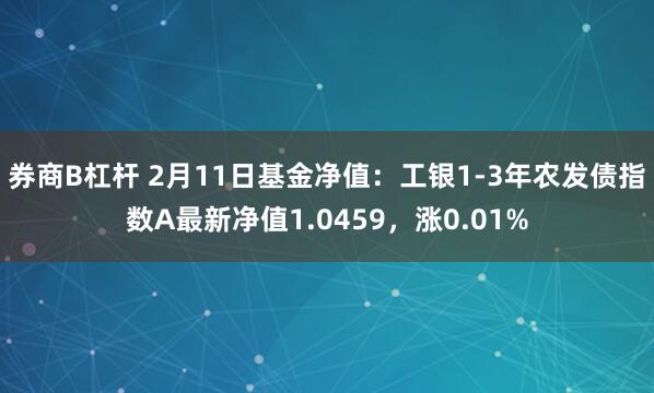 券商B杠杆 2月11日基金净值：工银1-3年农发债指数A最新净值1.0459，涨0.01%