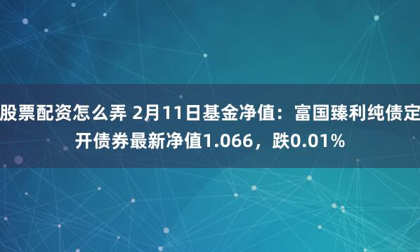 股票配资怎么弄 2月11日基金净值：富国臻利纯债定开债券最新净值1.066，跌0.01%