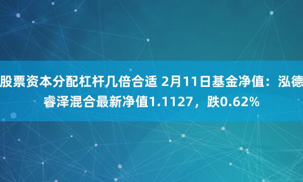 股票资本分配杠杆几倍合适 2月11日基金净值：泓德睿泽混合最新净值1.1127，跌0.62%