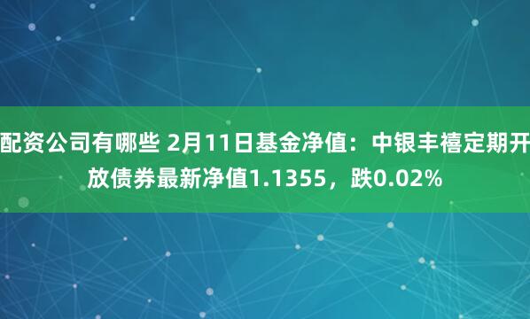 配资公司有哪些 2月11日基金净值：中银丰禧定期开放债券最新净值1.1355，跌0.02%