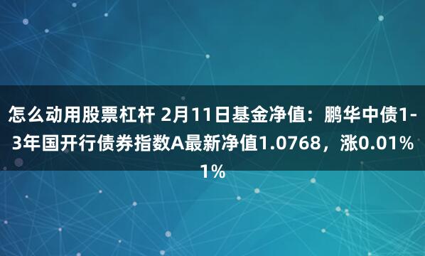 怎么动用股票杠杆 2月11日基金净值：鹏华中债1-3年国开行债券指数A最新净值1.0768，涨0.01%