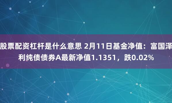股票配资杠杆是什么意思 2月11日基金净值：富国泽利纯债债券A最新净值1.1351，跌0.02%
