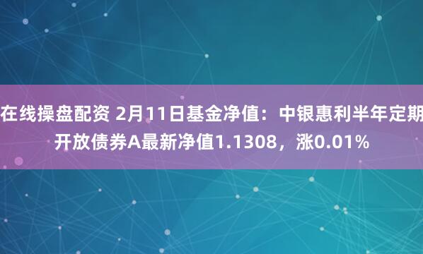 在线操盘配资 2月11日基金净值：中银惠利半年定期开放债券A最新净值1.1308，涨0.01%