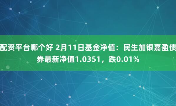 配资平台哪个好 2月11日基金净值：民生加银嘉盈债券最新净值1.0351，跌0.01%