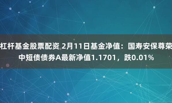 杠杆基金股票配资 2月11日基金净值：国寿安保尊荣中短债债券A最新净值1.1701，跌0.01%