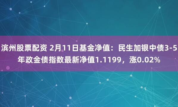 滨州股票配资 2月11日基金净值：民生加银中债3-5年政金债指数最新净值1.1199，涨0.02%