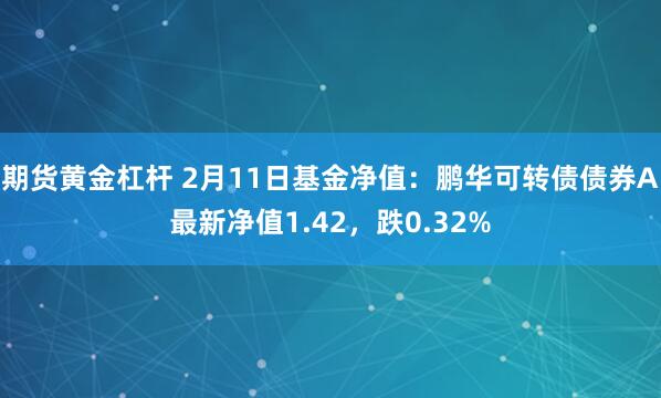 期货黄金杠杆 2月11日基金净值：鹏华可转债债券A最新净值1.42，跌0.32%