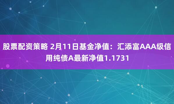 股票配资策略 2月11日基金净值：汇添富AAA级信用纯债A最新净值1.1731