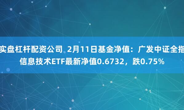 实盘杠杆配资公司  2月11日基金净值：广发中证全指信息技术ETF最新净值0.6732，跌0.75%