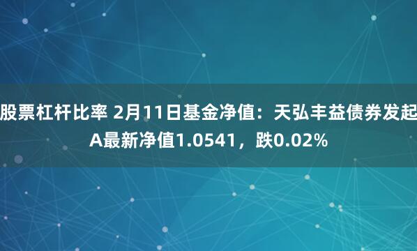 股票杠杆比率 2月11日基金净值：天弘丰益债券发起A最新净值1.0541，跌0.02%