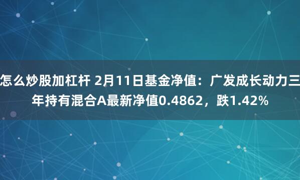 怎么炒股加杠杆 2月11日基金净值：广发成长动力三年持有混合A最新净值0.4862，跌1.42%