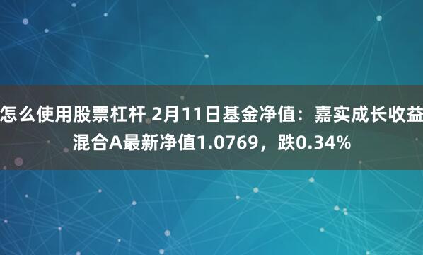 怎么使用股票杠杆 2月11日基金净值：嘉实成长收益混合A最新净值1.0769，跌0.34%