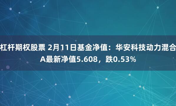 杠杆期权股票 2月11日基金净值：华安科技动力混合A最新净值5.608，跌0.53%