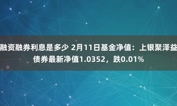 融资融券利息是多少 2月11日基金净值：上银聚泽益债券最新净值1.0352，跌0.01%