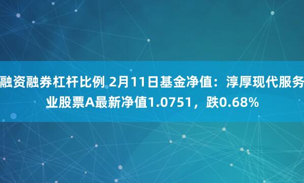 融资融券杠杆比例 2月11日基金净值：淳厚现代服务业股票A最新净值1.0751，跌0.68%