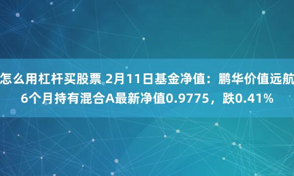 怎么用杠杆买股票 2月11日基金净值：鹏华价值远航6个月持有混合A最新净值0.9775，跌0.41%