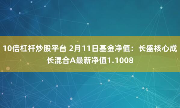 10倍杠杆炒股平台 2月11日基金净值：长盛核心成长混合A最新净值1.1008