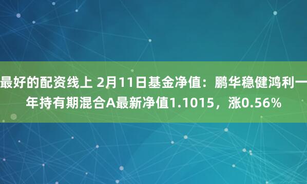 最好的配资线上 2月11日基金净值：鹏华稳健鸿利一年持有期混合A最新净值1.1015，涨0.56%