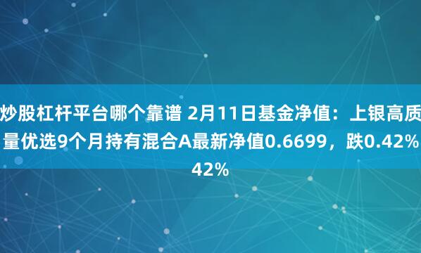 炒股杠杆平台哪个靠谱 2月11日基金净值：上银高质量优选9个月持有混合A最新净值0.6699，跌0.42%