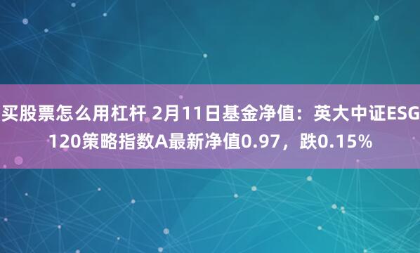 买股票怎么用杠杆 2月11日基金净值：英大中证ESG120策略指数A最新净值0.97，跌0.15%