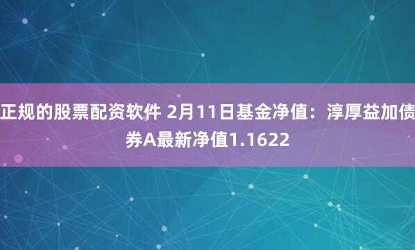 正规的股票配资软件 2月11日基金净值：淳厚益加债券A最新净值1.1622