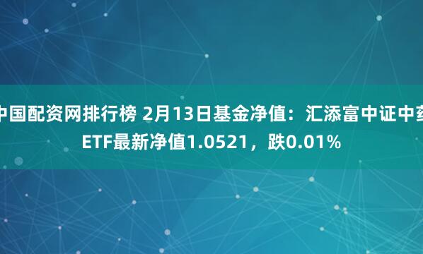 中国配资网排行榜 2月13日基金净值：汇添富中证中药ETF最新净值1.0521，跌0.01%