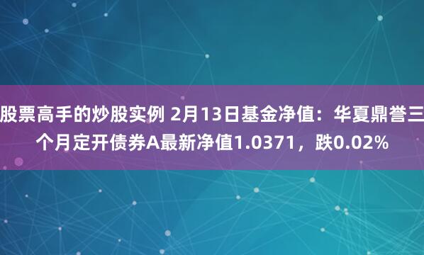 股票高手的炒股实例 2月13日基金净值：华夏鼎誉三个月定开债券A最新净值1.0371，跌0.02%