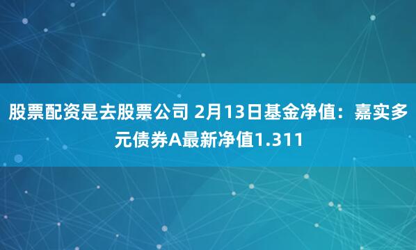 股票配资是去股票公司 2月13日基金净值：嘉实多元债券A最新净值1.311