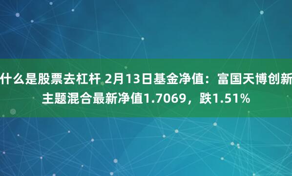 什么是股票去杠杆 2月13日基金净值：富国天博创新主题混合最新净值1.7069，跌1.51%