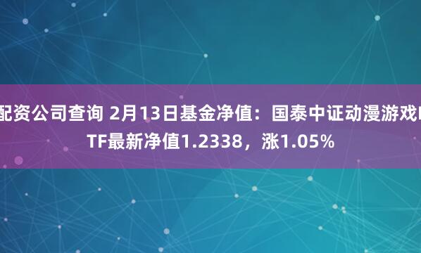 配资公司查询 2月13日基金净值：国泰中证动漫游戏ETF最新净值1.2338，涨1.05%