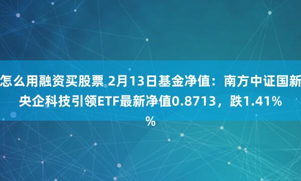 怎么用融资买股票 2月13日基金净值：南方中证国新央企科技引领ETF最新净值0.8713，跌1.41%