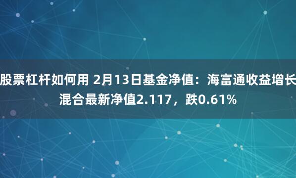 股票杠杆如何用 2月13日基金净值：海富通收益增长混合最新净值2.117，跌0.61%