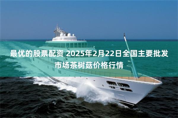 最优的股票配资 2025年2月22日全国主要批发市场茶树菇价格行情