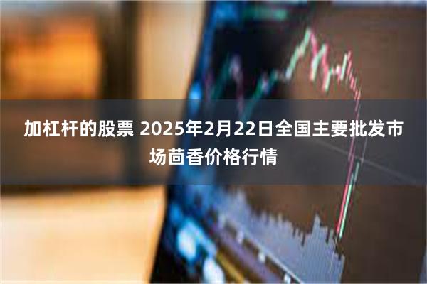 加杠杆的股票 2025年2月22日全国主要批发市场茴香价格行情